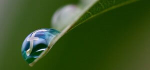 Review request for backup-manager