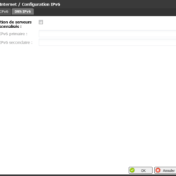 Configuration IPv6 - DNS IPv6